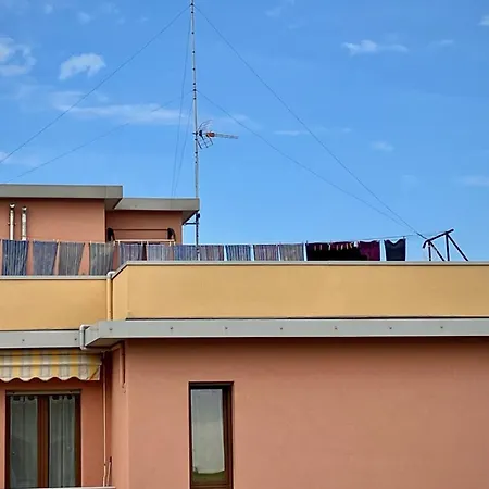 Zenit * Senigallia